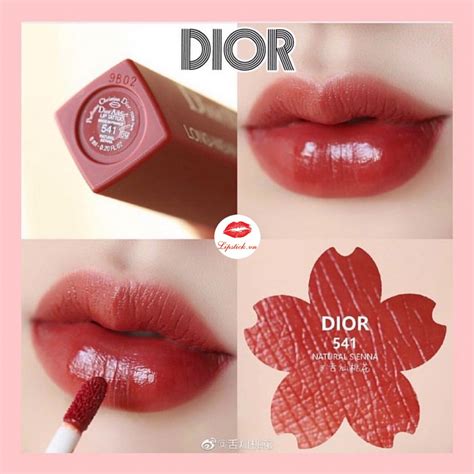 dior lip tattoo 541 dupe|Browse dupes and find similar shades to Dior lipsticks.